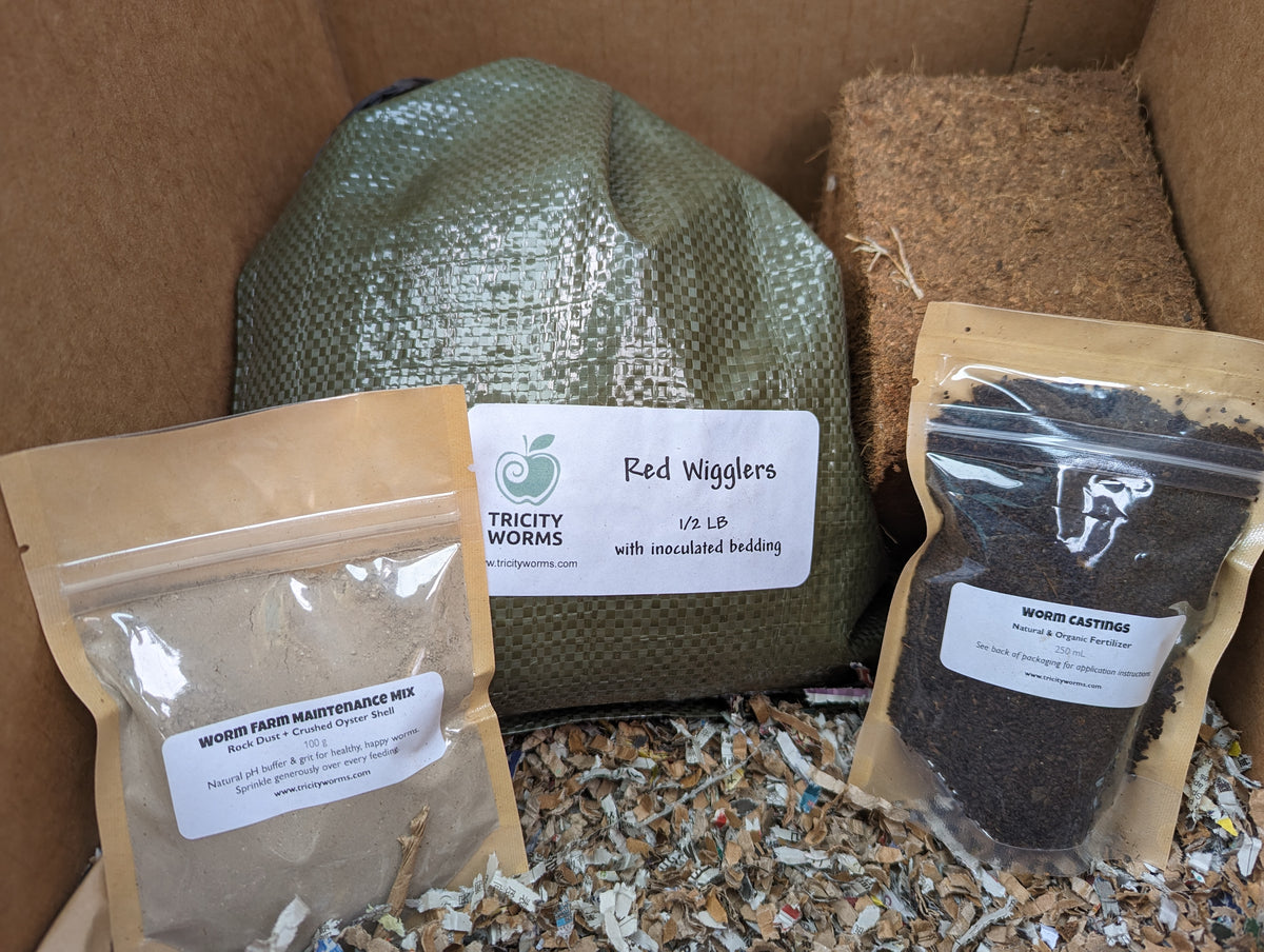 How I package Live worms for Shipping #wormfarm #compostingworms